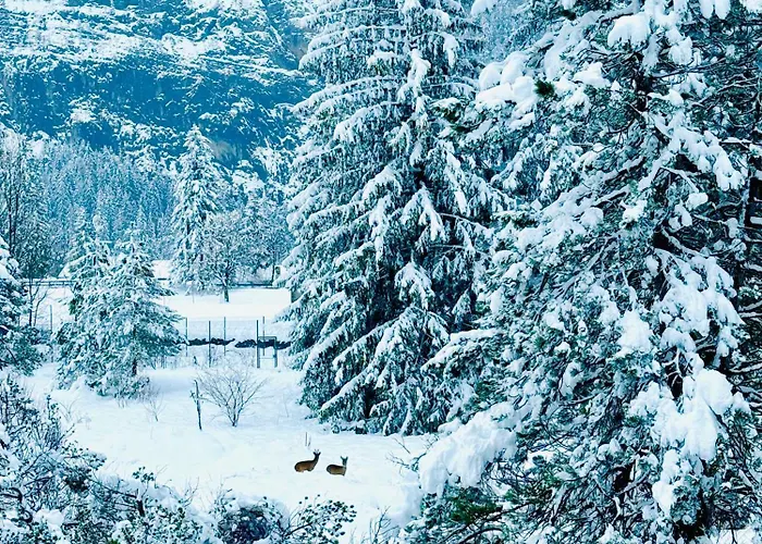 Modern Designed, Luxury Mountain View