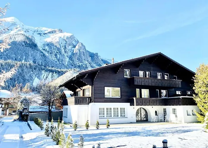Modern Designed, Luxury Mountain View Kandersteg