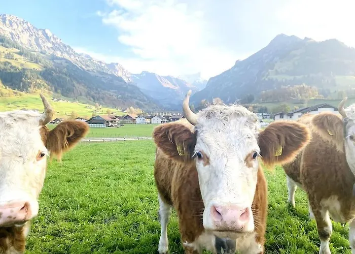 Modern Designed, Luxury Mountain View Kandersteg