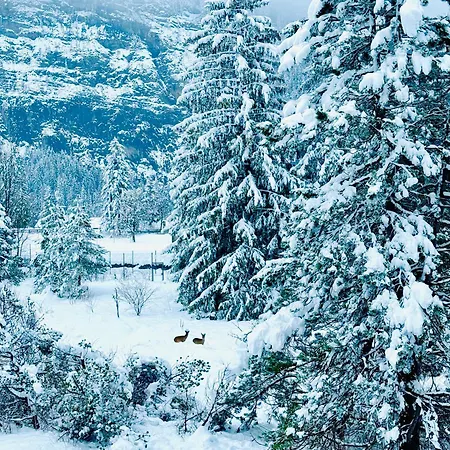 Modern Designed, Luxury Mountain View