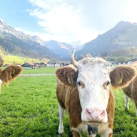 Modern Designed, Luxury Mountain View Kandersteg